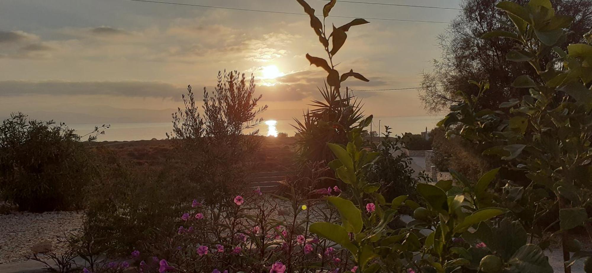 Meltemi 1 Apartamento Nea Cryssi Akti Exterior foto