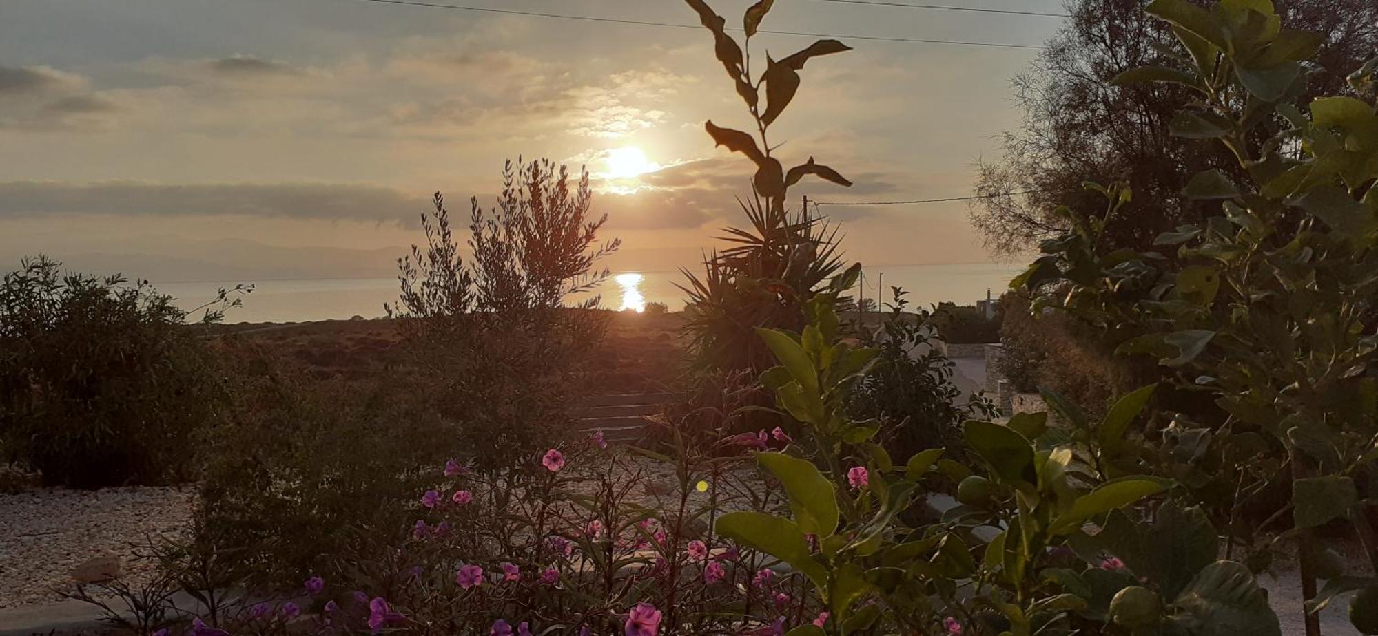 Meltemi 1 Apartamento Nea Cryssi Akti Exterior foto