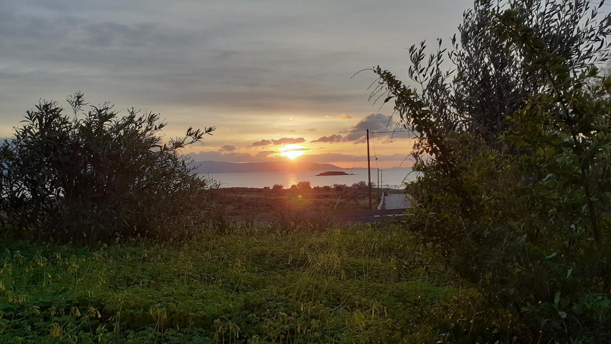 Meltemi 1 Apartamento Nea Cryssi Akti Exterior foto